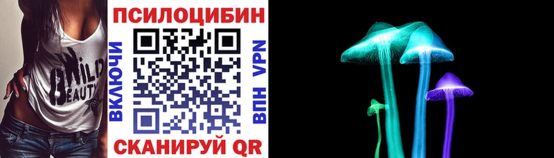 Псилоцибиновые грибы Psilocybe  наркошоп  блэк спрут сайт  Дмитриев 